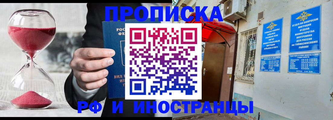 прописка 2025 в Искитиме